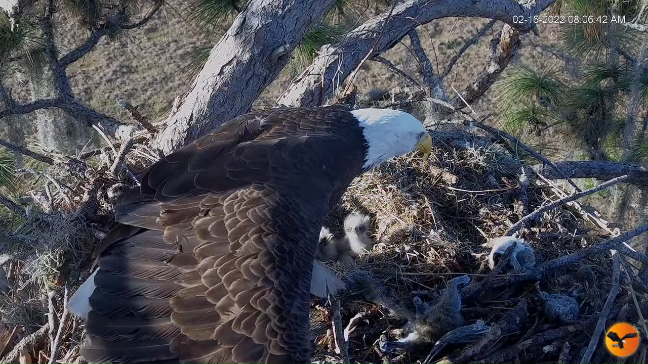 EC 4K Overhead Cam 12-54-33 screenshot