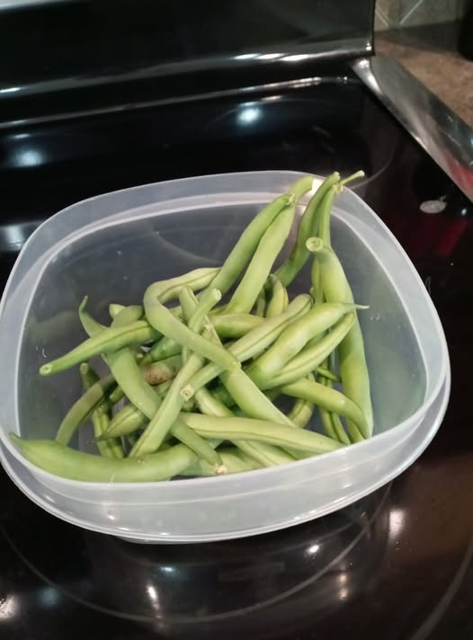 GREEN BEANS