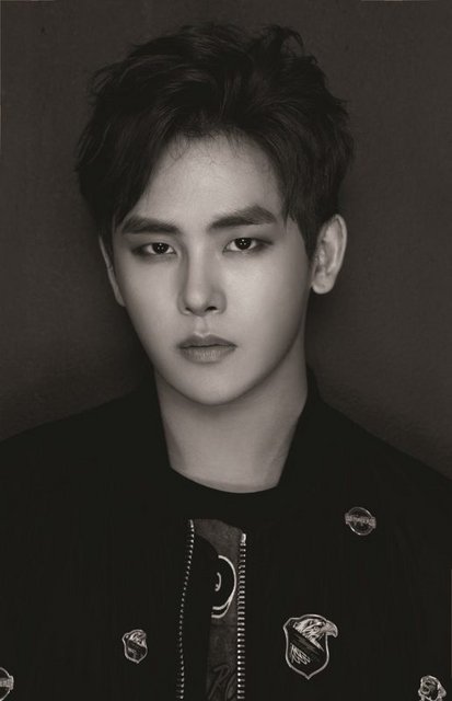 Hoya-516x800.jpg