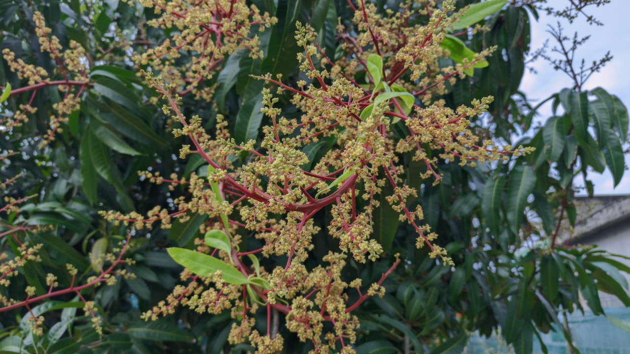 LMC-20250209-155327-lmc-8-4