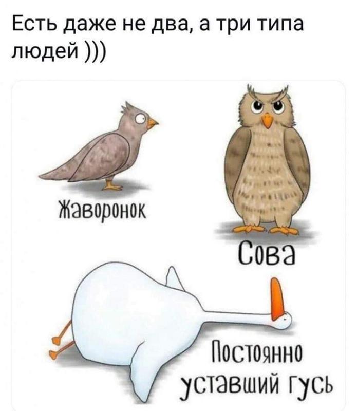 58755012_2392508477466750_8669706209294548992_n