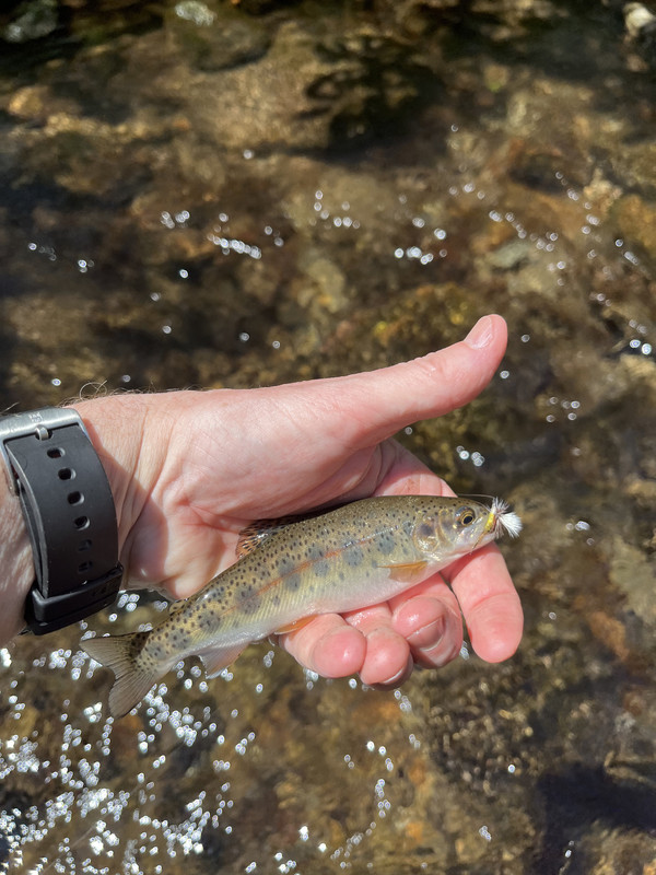 01BEF2A0-2218-4BEC-919A-2D9C31260A4A