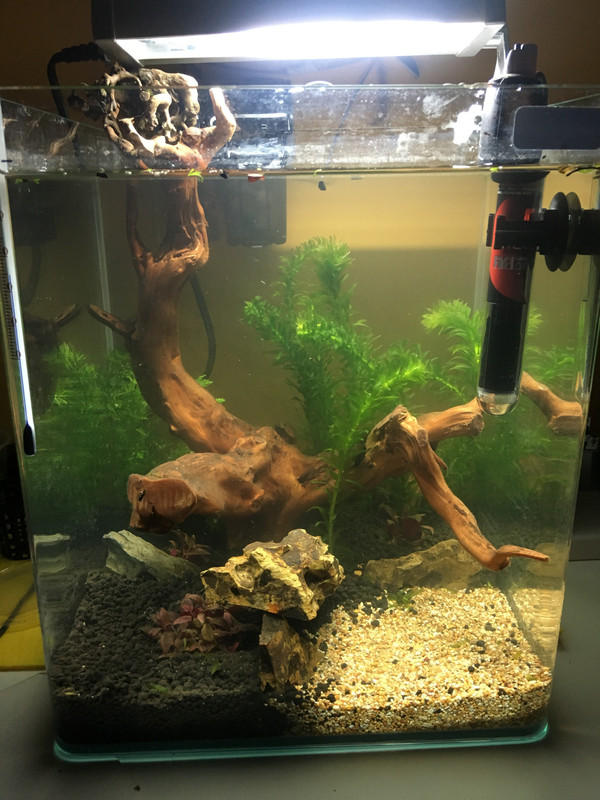 A3007FE5-5F5A-4A09-A1E2-4793938DE189