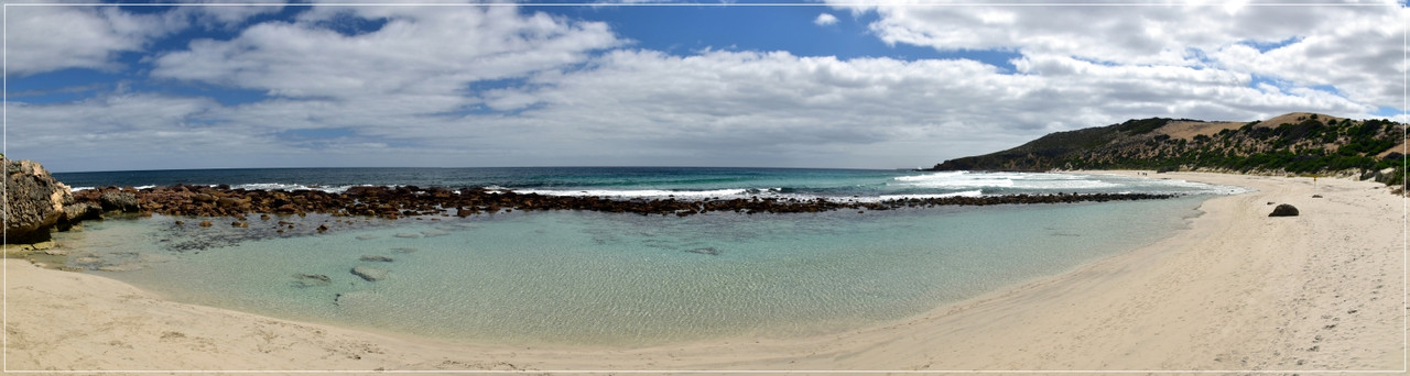Australia (I): toma de contacto - Blogs de Australia - Kangaroo Island (71)