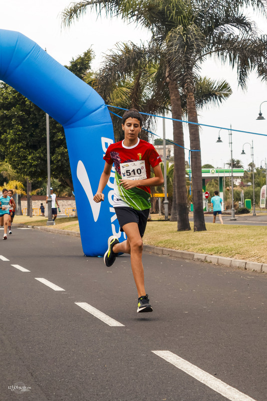 Canary-Run 121
