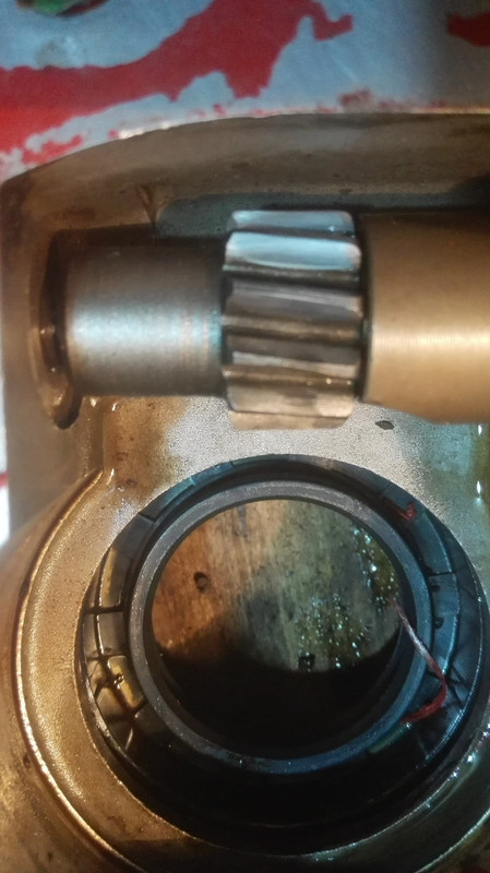 DETALLE PIÑON VELOCIMETRO