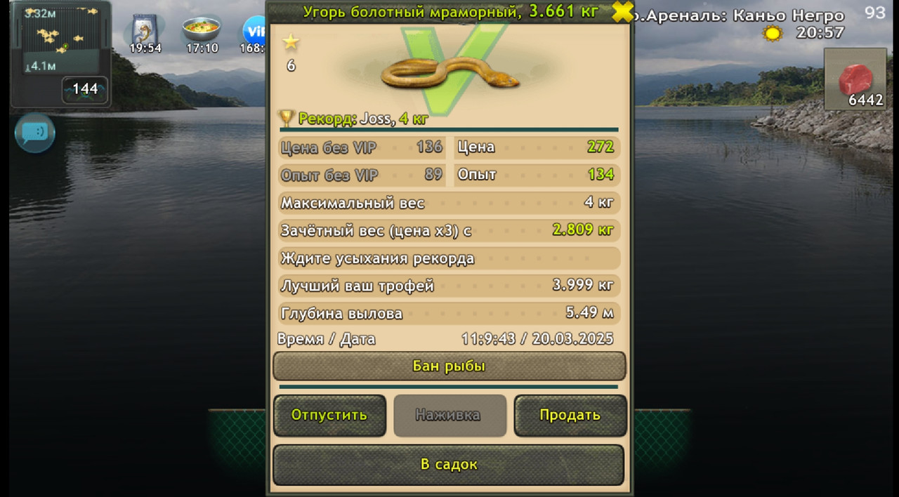 Screenshot-20250320-130734.jpg
