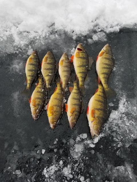 20181225_153925