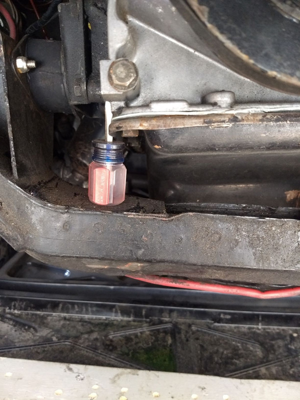 IMG_20200404_165441374