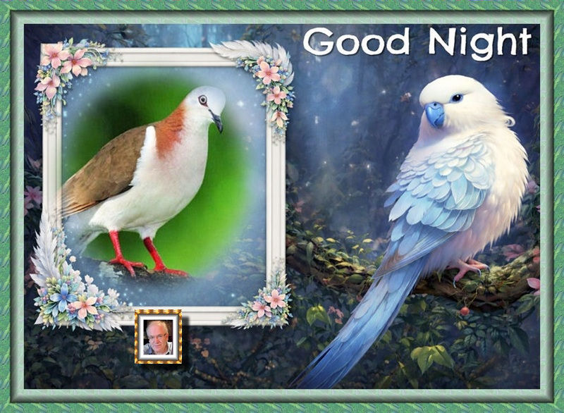 aigenbycaz-brownprayingangel-(2)