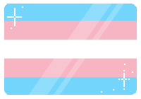 trans trans