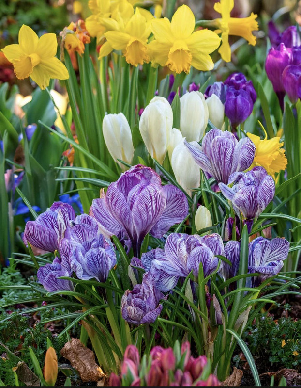 660286639-1391913532980906-6397072913313059158-n