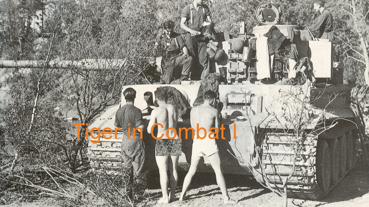 т tigerin  Combat 10005