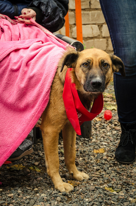 9FE6F64C-A295-4E03-B33D-2F952BCA51A0