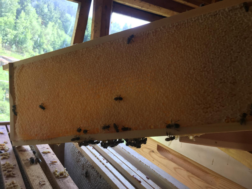 0B22AB65-CEB6-45A6-9215-EF5079F0131D