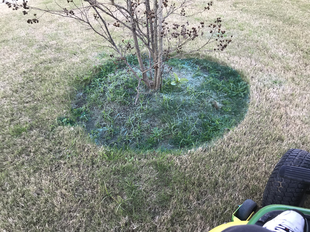 213A8615-24A9-4754-AD70-40FC62CF1625