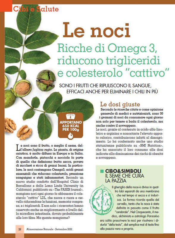 Alim Nat Set 2022 (7)