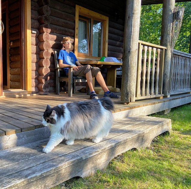 FA9941-D3-EED8-45-EA-B4-FE-C00-DFEEEEDE7