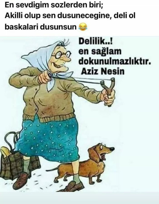 aziz nesin