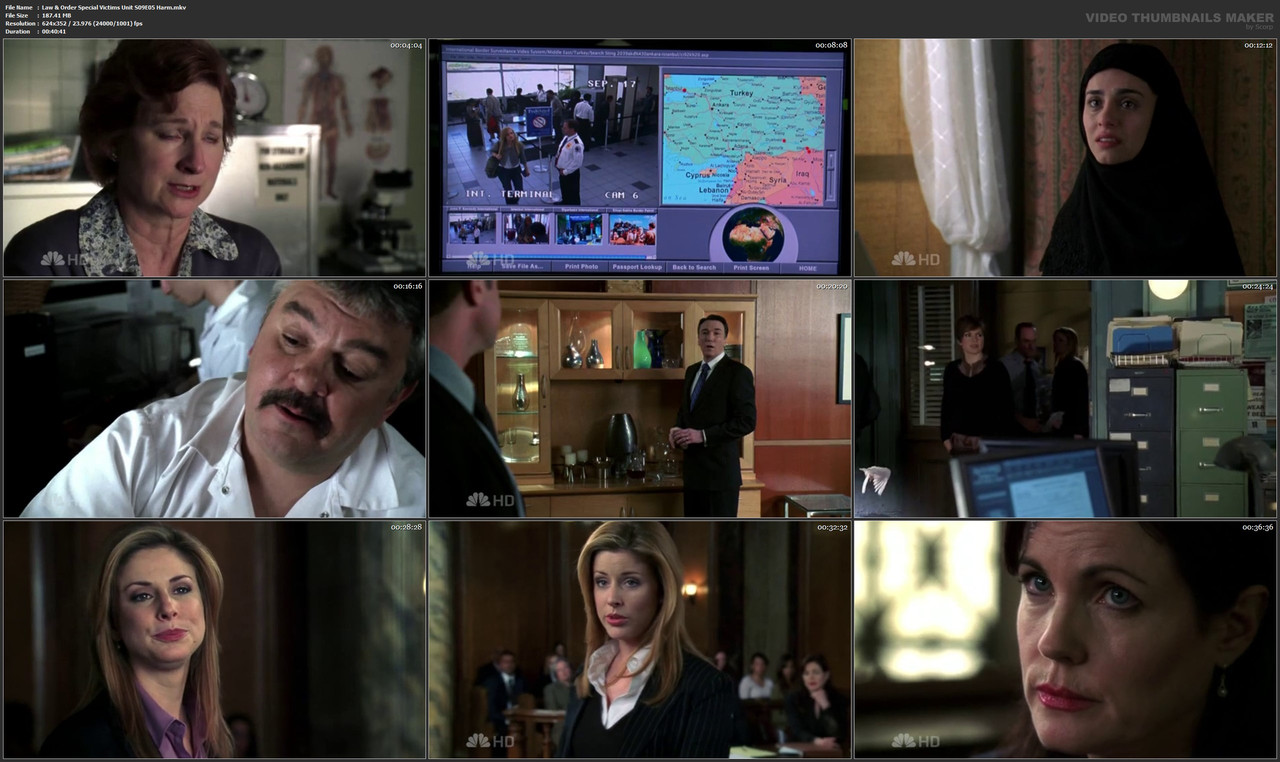 Law & Order Special Victims Unit S09E05 Harm.mkv