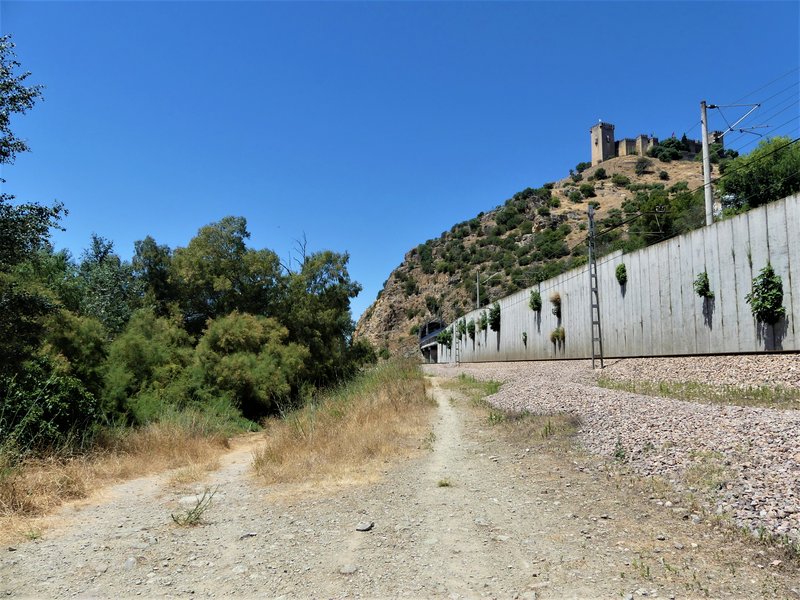 Córdoba y sus pueblos-2017/2020 - Blogs de España - ALMODOVAR DEL RIO-4-7-2020 (40)