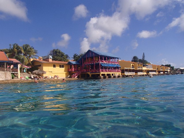 BONAIRE - Buceo+ Snorkel + Relax - Blogs de Caribe - Buceo en Calabas y The Lake. Snorkel. (8)