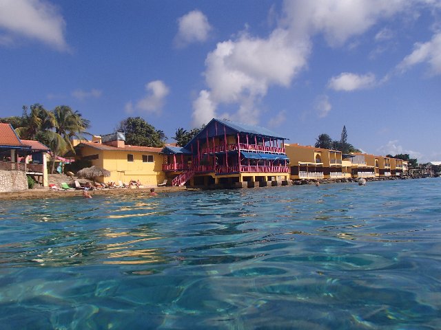 Buceo en Calabas y The Lake. Snorkel. - BONAIRE - Buceo+ Snorkel + Relax (8)