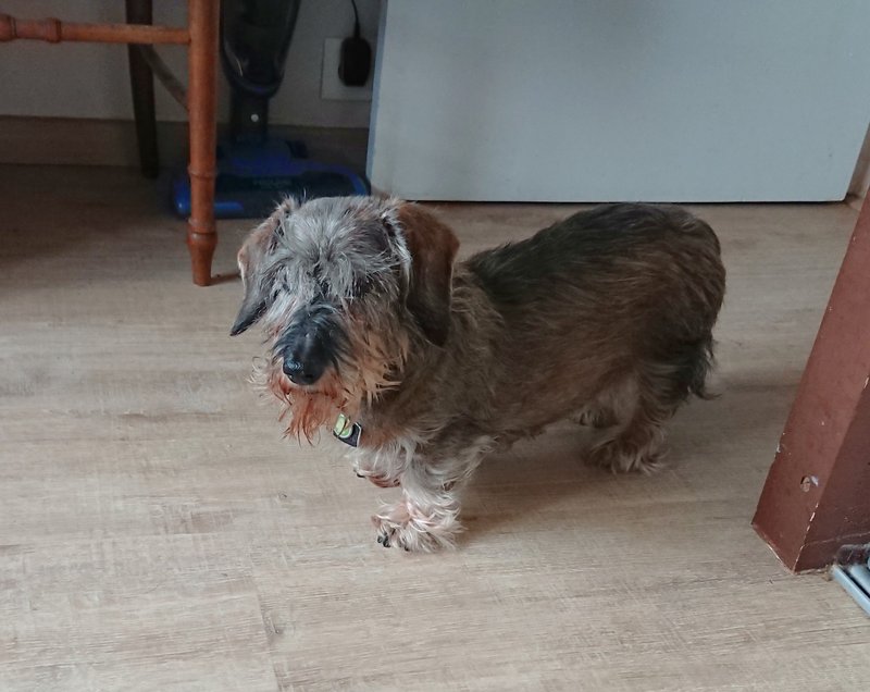 [Image: 20231210-121323.jpg]