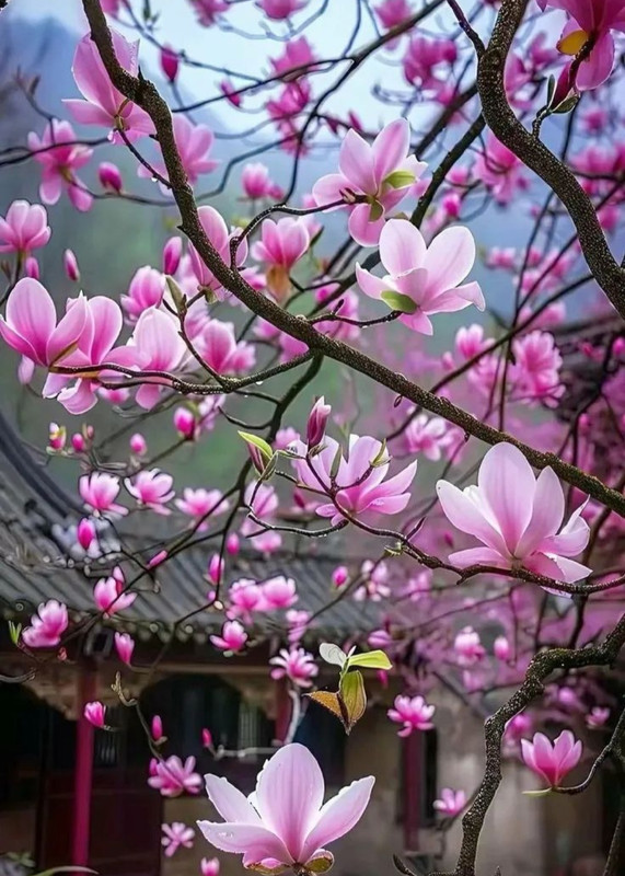 Screenshot_20240419_224801_Threads