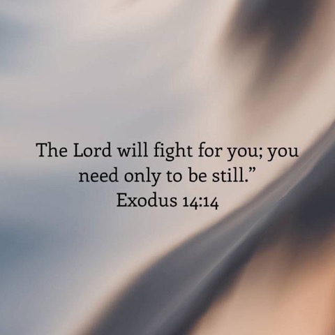 Scripture-Exodus-14-14