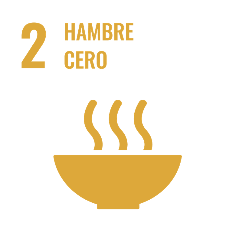 ODS 2