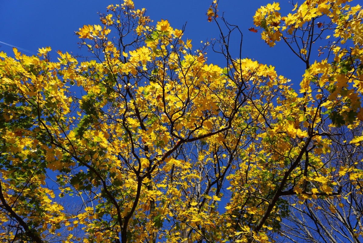 DA14C16E-3ED4-456B-82CF-9A7513C28895