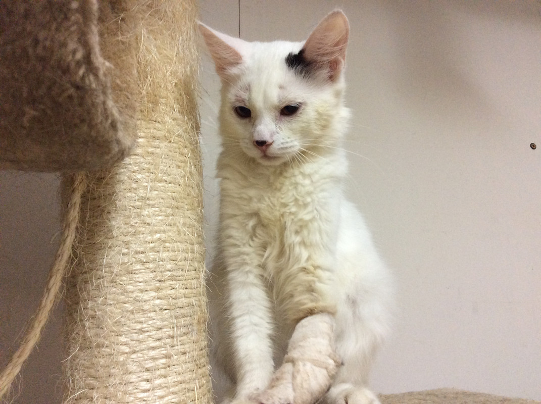 3864F2E5-B920-4009-B9D2-6998B333692D