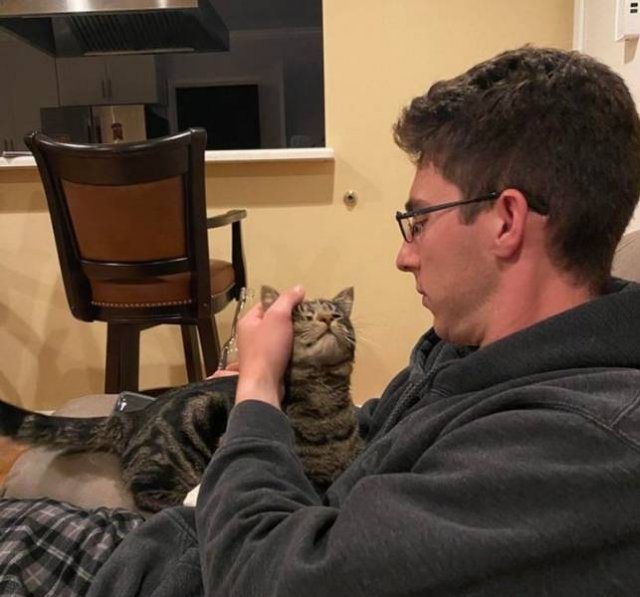 Pets-24