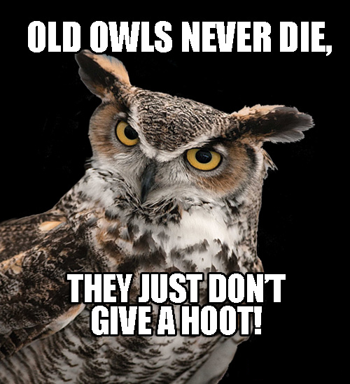 Hoot.png