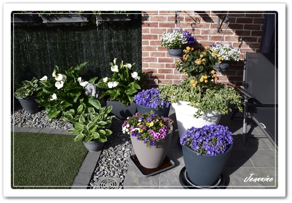 BLOEMEN-TUIN-2026