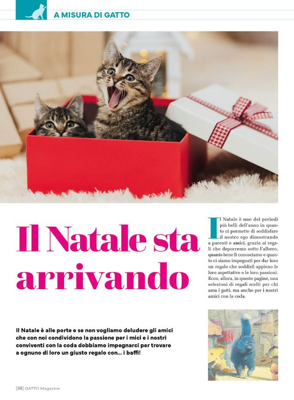 Ga Ma Dic 2024-Gen 2025 (5)