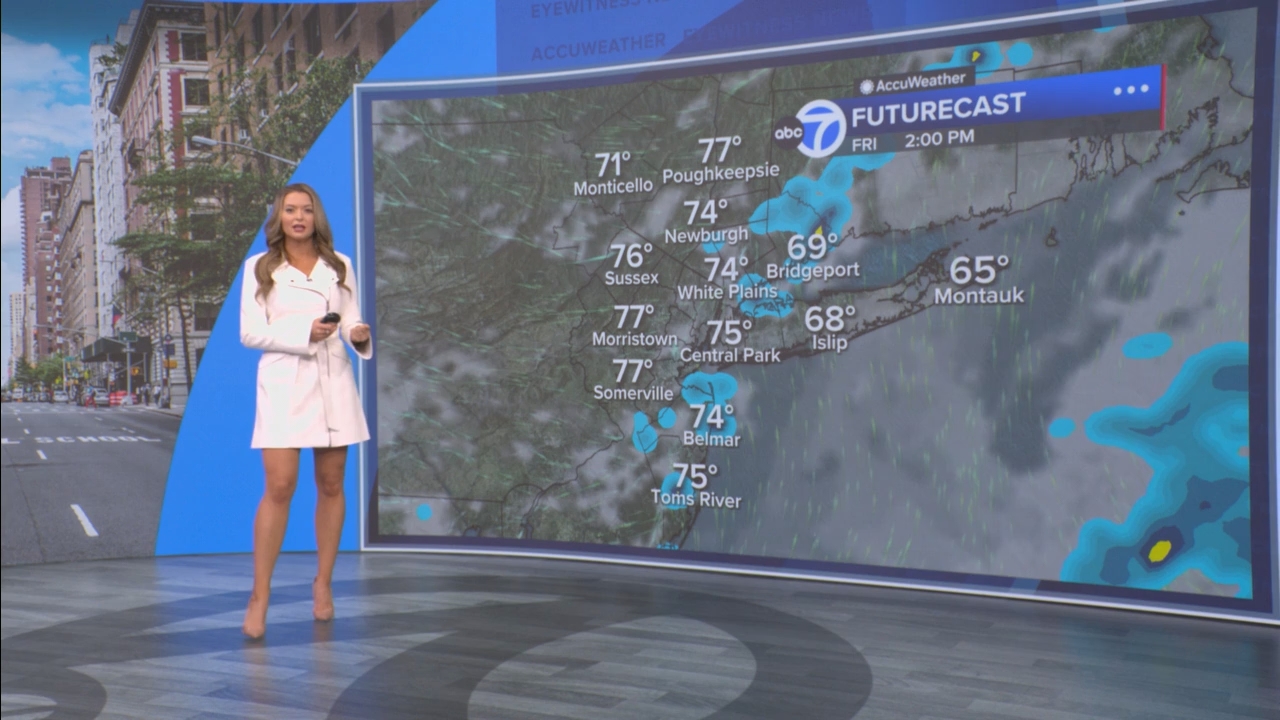 Eyewitness News Mornings at 10_20250529_15001600.ts_snapshot_00.50.44.151