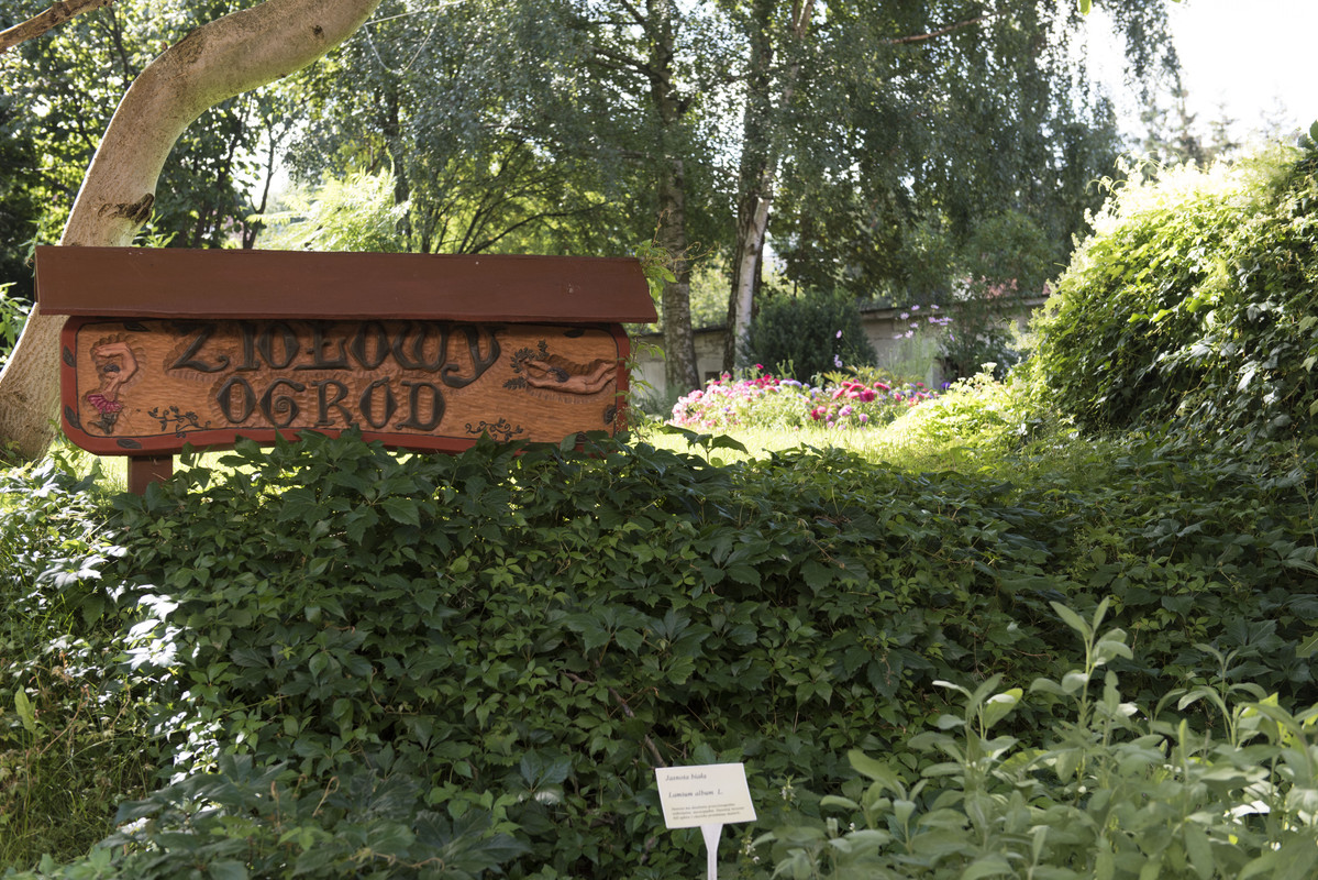 16.44 - NEW_9203 (Konfiturek)