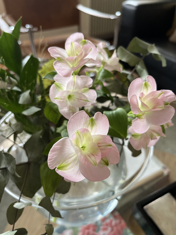 D91FE1CE-4CAD-4CB9-A8B4-7008FB0E0922