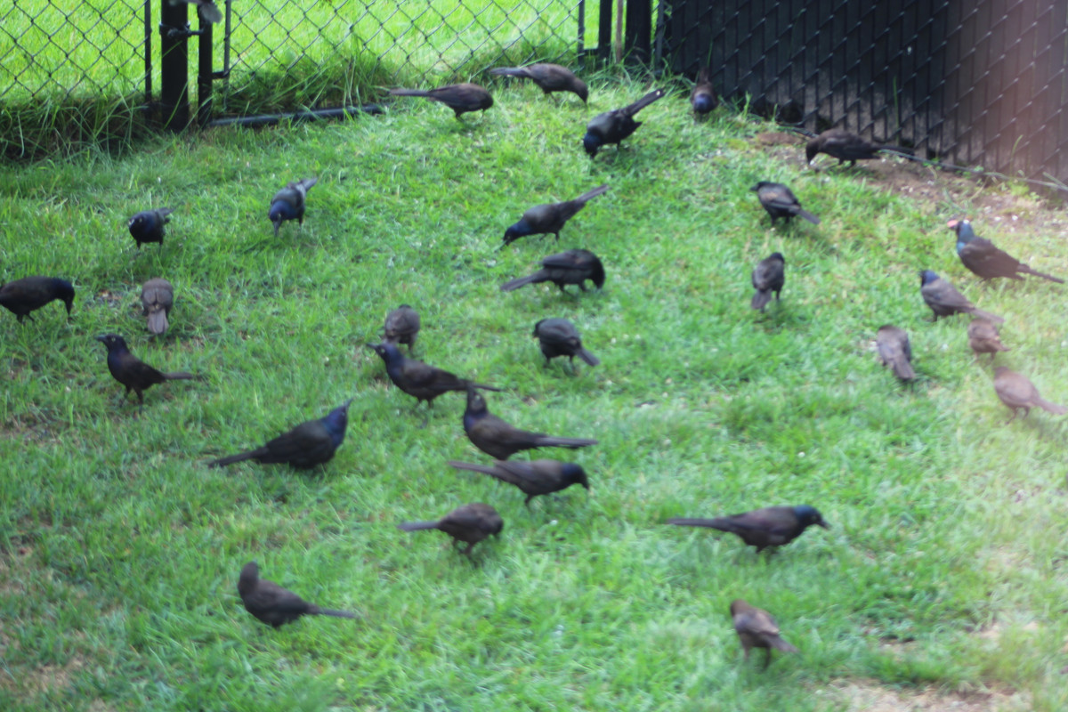 20210722102154_IMG_0942