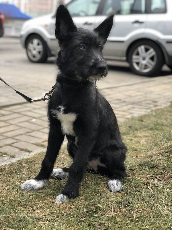 D2E9B363-08A2-4ACD-9F20-6A1022B0750E