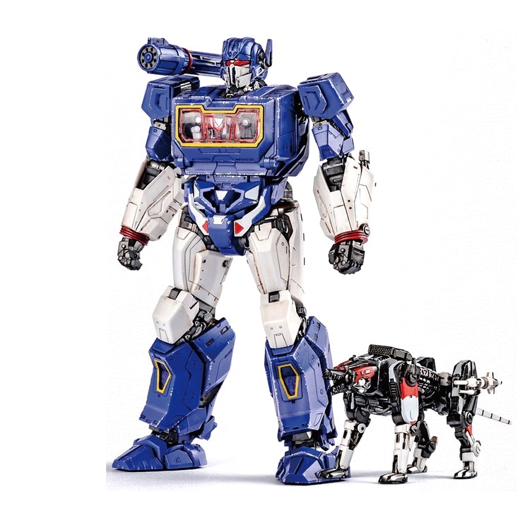 TF_dys50109_1