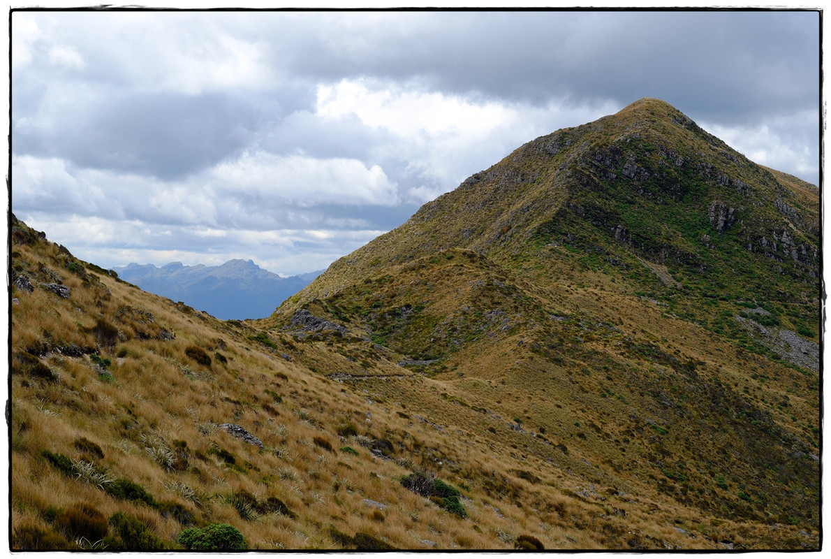 Paparoa NP: Paparoa Track (diciembre 2024) - Escapadas y rutas por la Nueva Zelanda menos conocida (14)