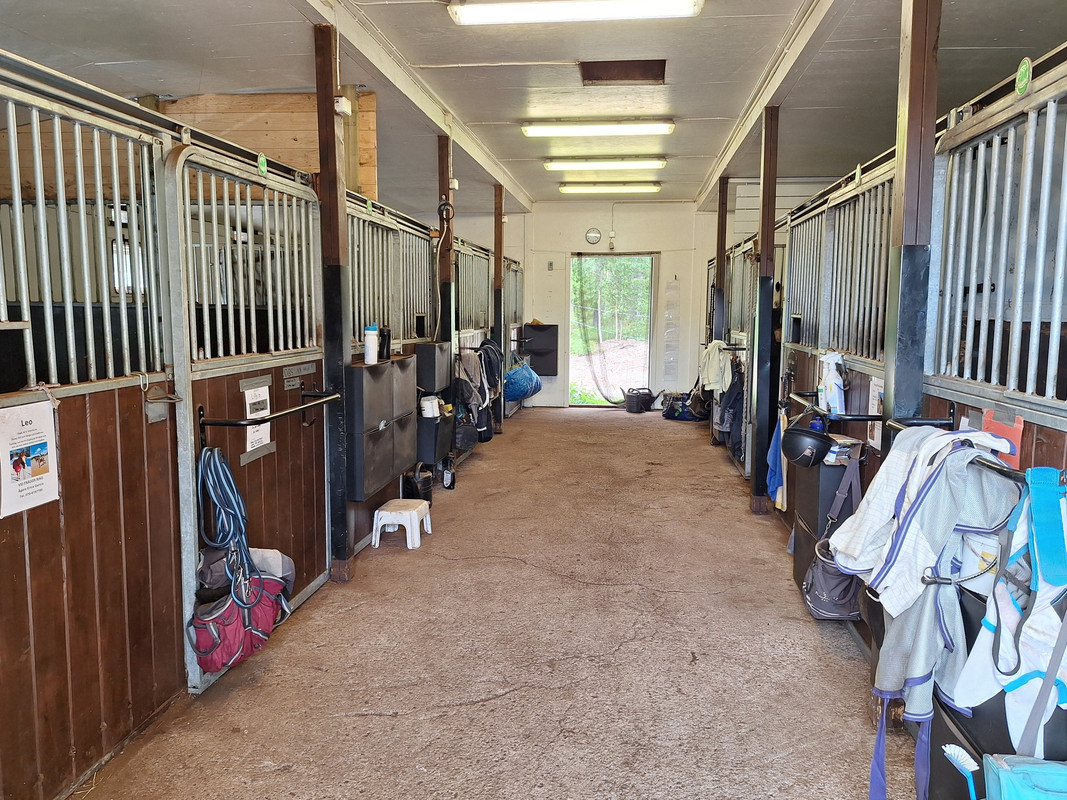 Stall 6