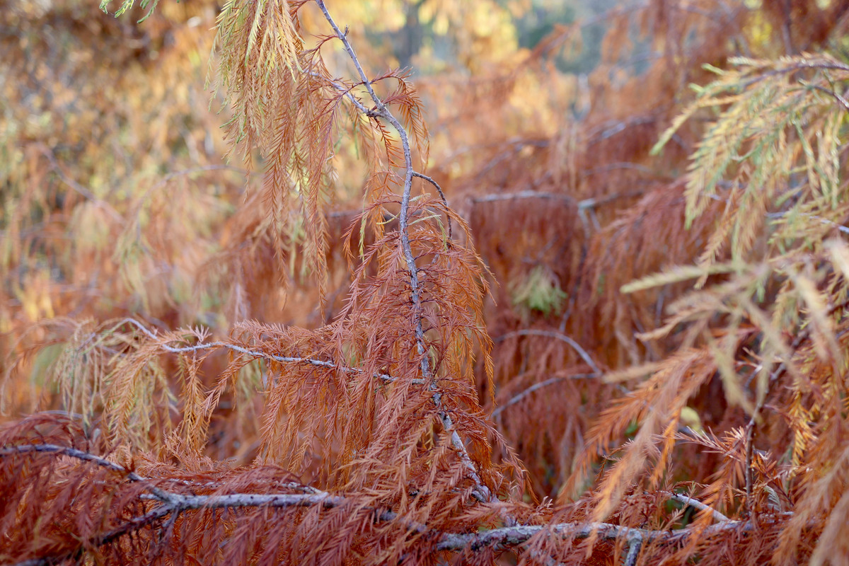 402F3CA0-C2AB-419B-AD2F-0ECA1E0EAE78