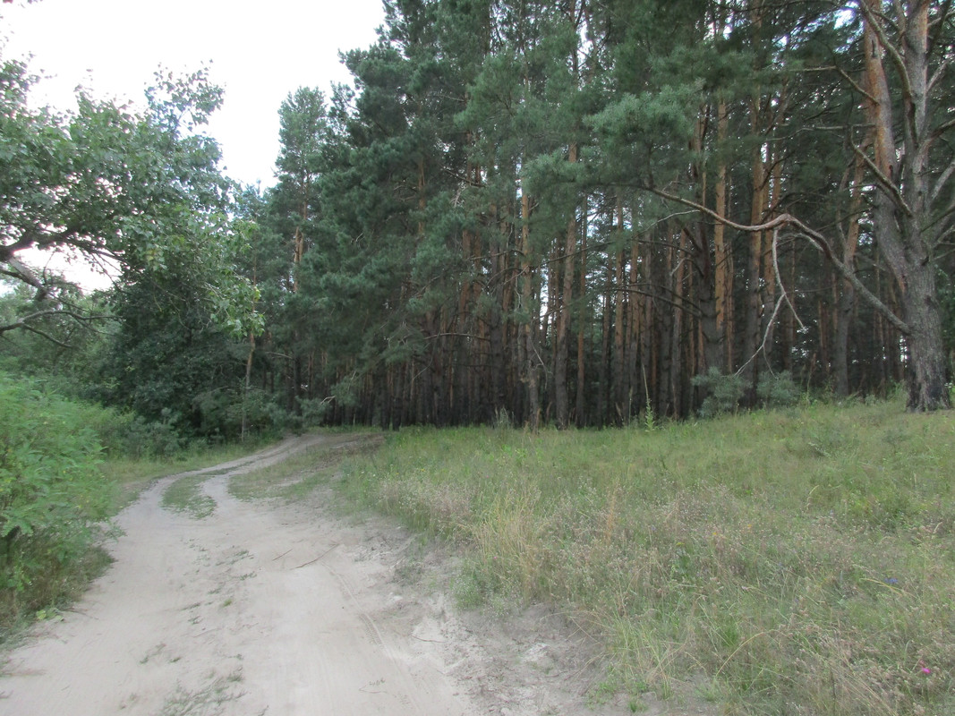 IMG-0058