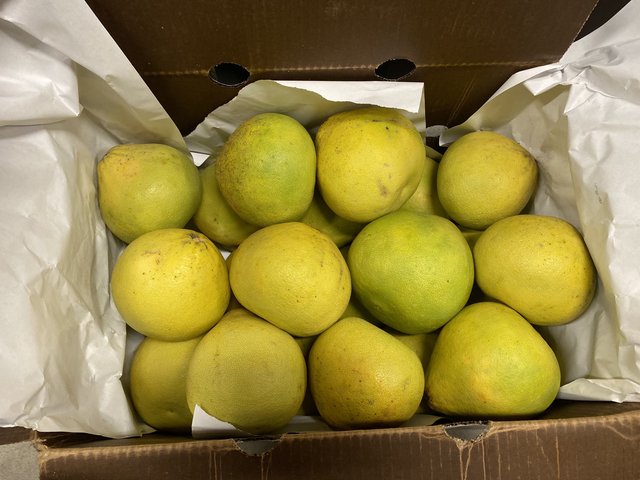 [Image: 2-A268-A68-6-E24-4330-804-C-D31-B124-CD3-B8.jpg]