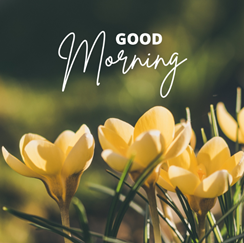 vartotojo kelta nuotrauka