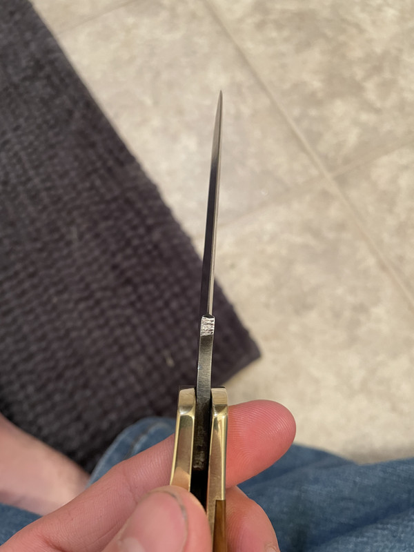 E5ECBDED-07C8-4029-8E2D-128ED07590CC